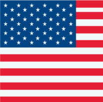 1 USA flag