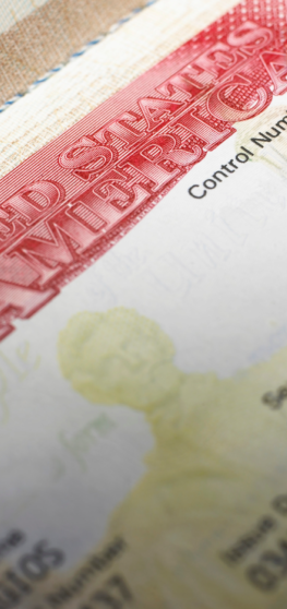 7 USA visa