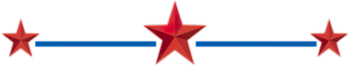 Vize Stars